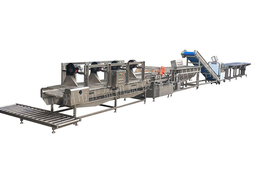 葉菜淨菜加工設備生產線